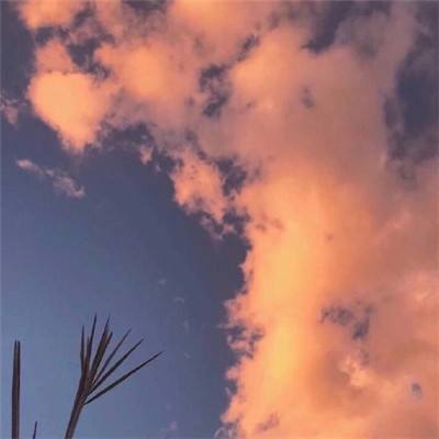 绽灵乱世华为版下载