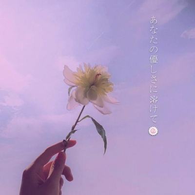 权谋天下官方
